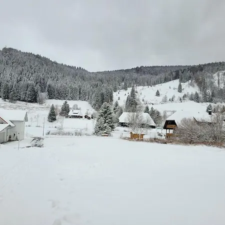 Dajana Comfortable Holiday St. Blasien