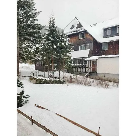Dajana Comfortable Holiday Dom wakacyjny St. Blasien